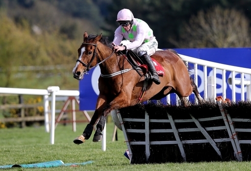 Faugheen features in our Leopardstown Sunday best bets