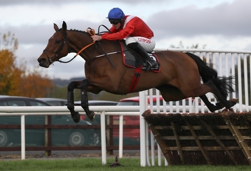 Gordon Elliott Cheltenham Festival squad. Envoi Allen looks a Festival banker.