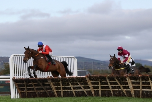 Envoi Allen can win at the Cheltenham Festival.
