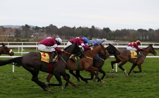 Gordon Elliott Cheltenham Festival squad. Delta Work can run a big race in the Gold Cup.