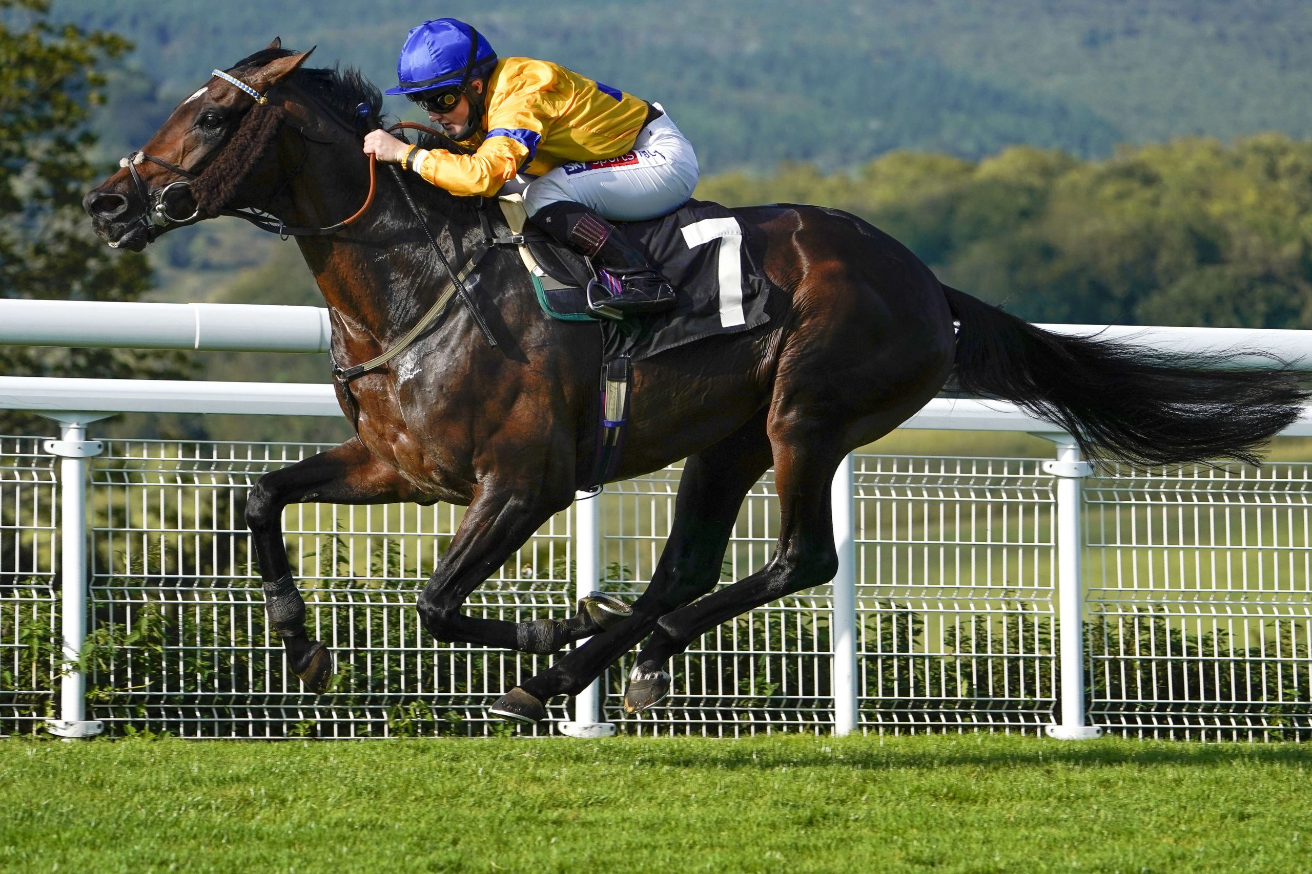 Smart Flat recruit Stag Horn cam continue his progress since switching disciplines.