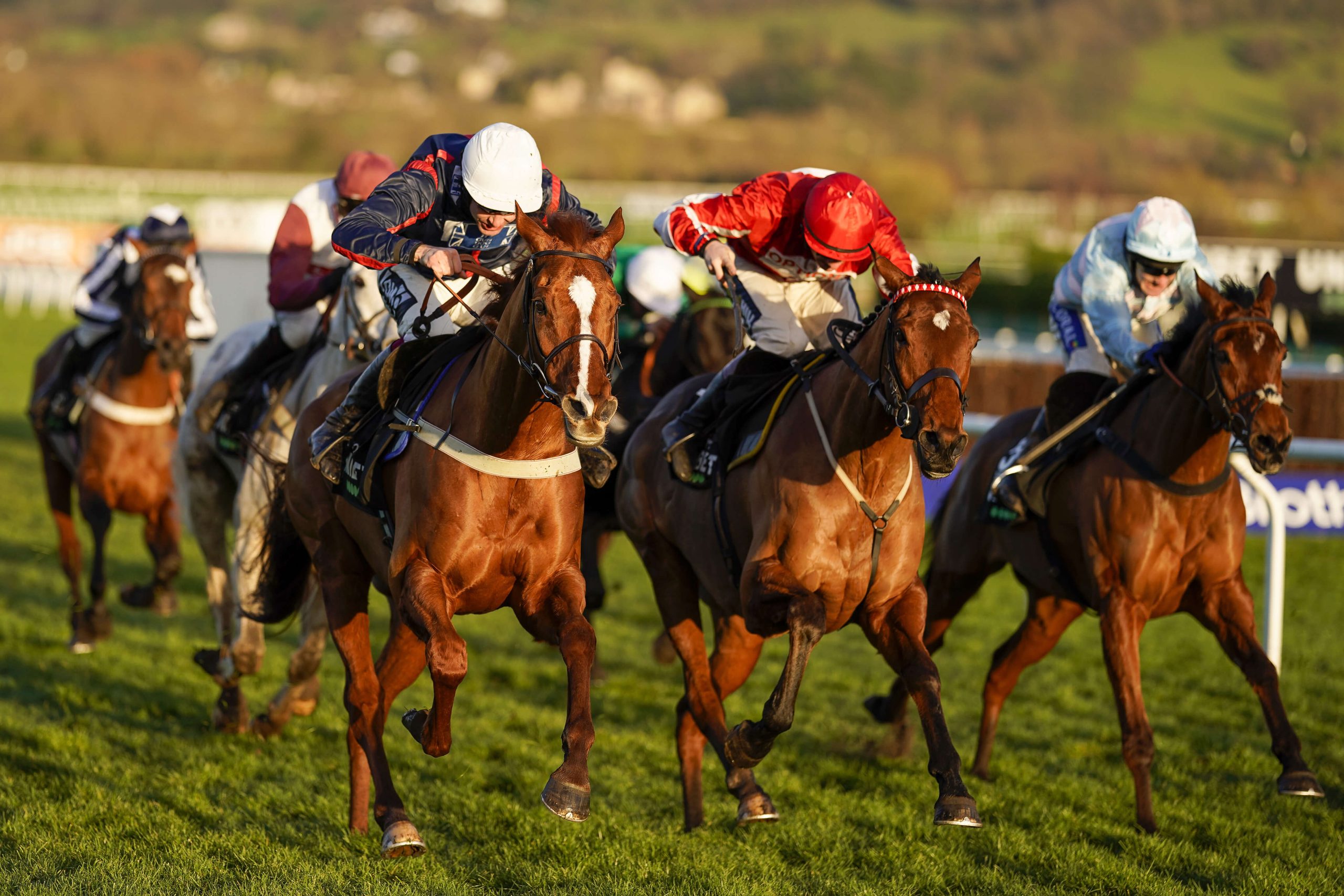 Song For Someone (left) can get back to winning ways on Saturday.