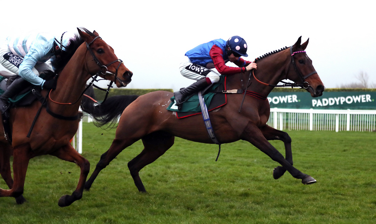 Cheltenham day three trends. Paisley Park can win a second Stayers' Hurdle according to the trends.