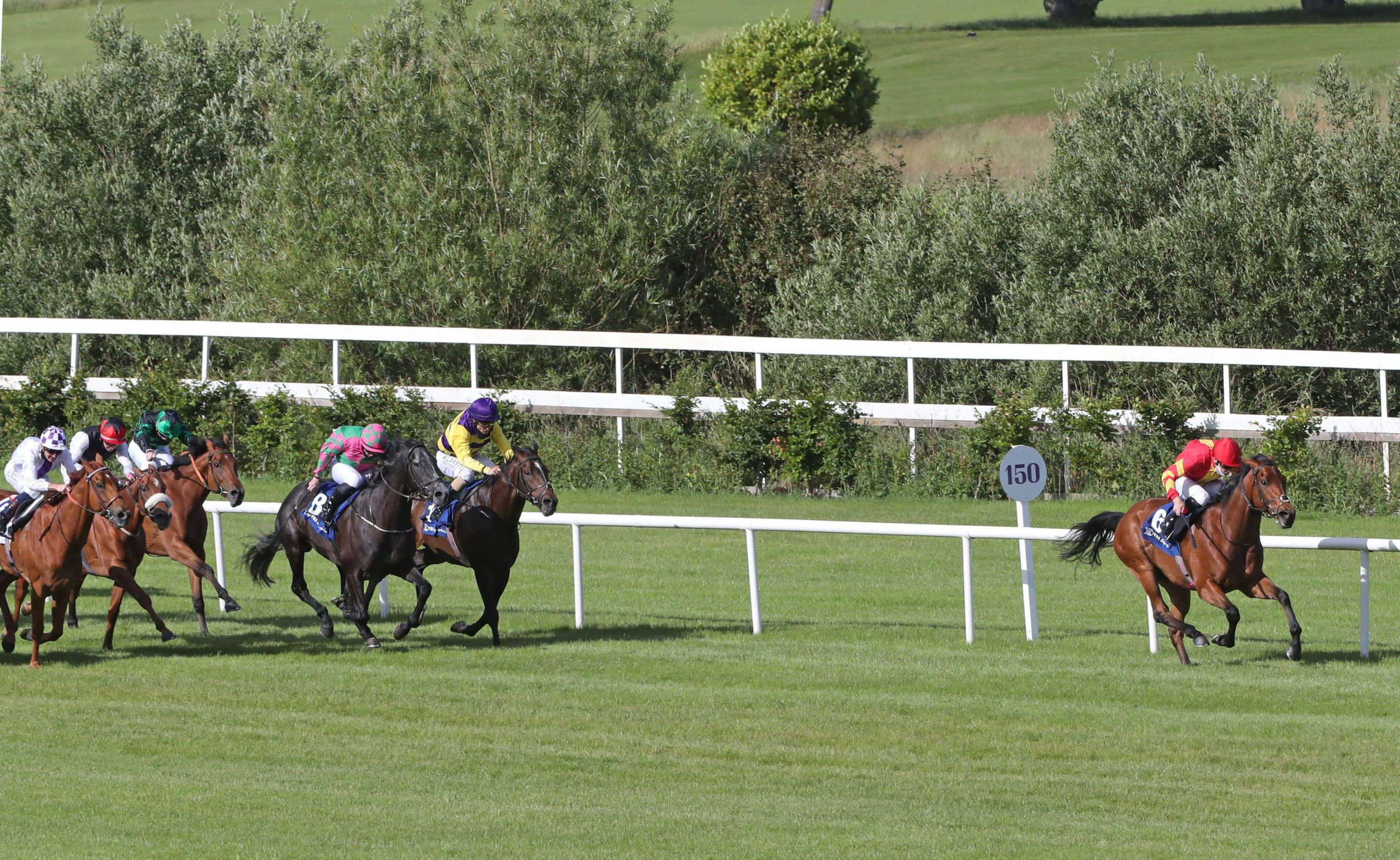 Irish Horse Racing Tips. Patrick Sarsfield can score back at his beloved Leopardstown on Thursday.