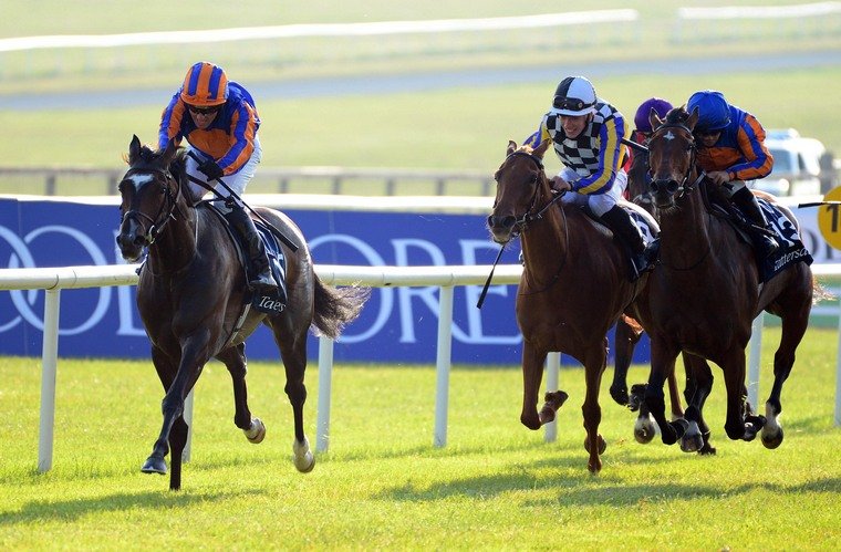 Peaceful can land the Irish Oaks for our weekend ante-post tips column.