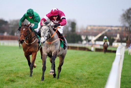 Saturday Fairyhouse tips. Petit Mouchoir can benefit from the drop in class to get back on the winning trail.