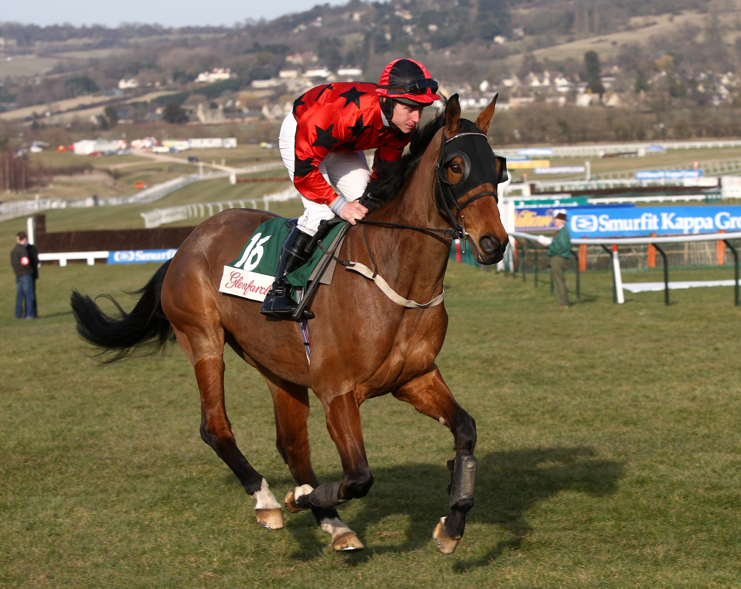 Irish Horse Racing Tips. Phillip Enright can get amongst the winners at Downpatrick on Wednesday.