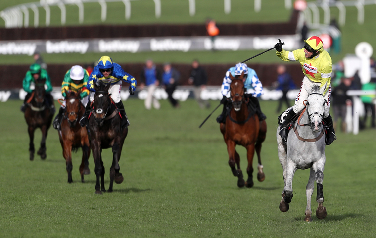 2021 Cheltenham Festival runners. Can Politologue defend his Champion Chase crown?