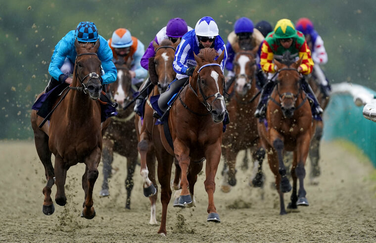 Tuesday racing best bets. Premier Power can win at Kempton.