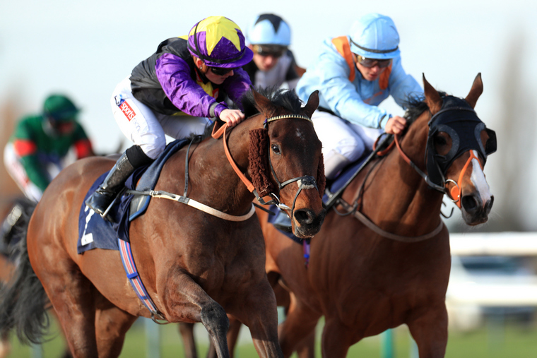 Saturday horse racing best bets. Rainbow Dreamer can strike at Newcastle.