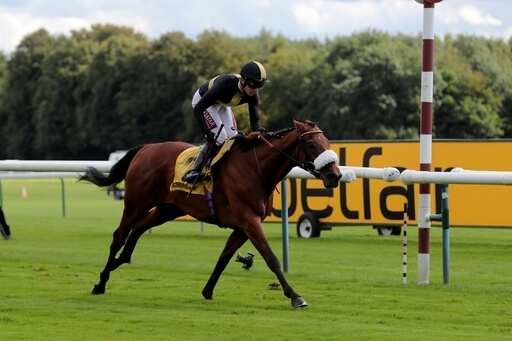 Good Friday horse racing tips. Ranch Hand can strike on the all-weather at Lingfield.