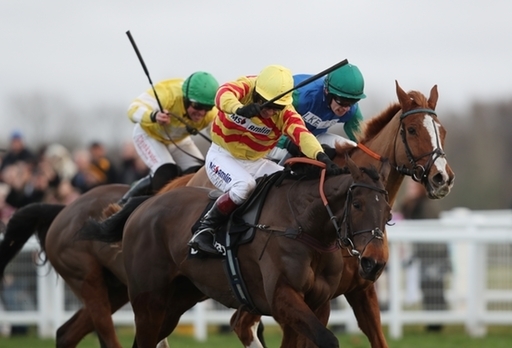 Reikers Island is one of the 12-strong field in Thursday's race of the day at Wincanton.