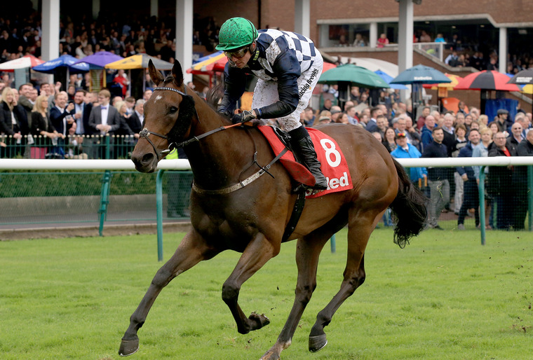Reshoun winning at Haydock