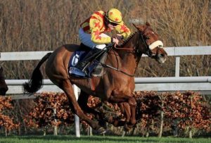 Royal Kahala will be stepping up to three miles for the first time in the Galmoy Hurdle.