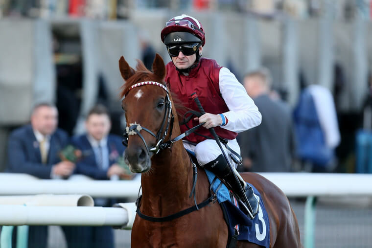 Royal Line ridden by Rab Havlin