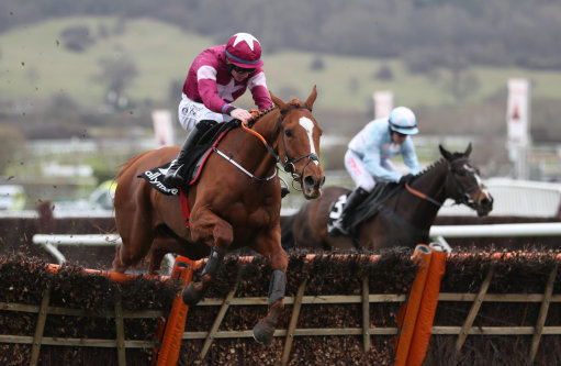 Gigginstown Cheltenham Festival runners. Samcro could bid to land the Ryanair Chase.