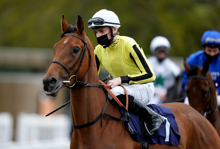 Doncaster tips on day two. Save A Forest can get back to winning ways in the Park Hill Stakes.