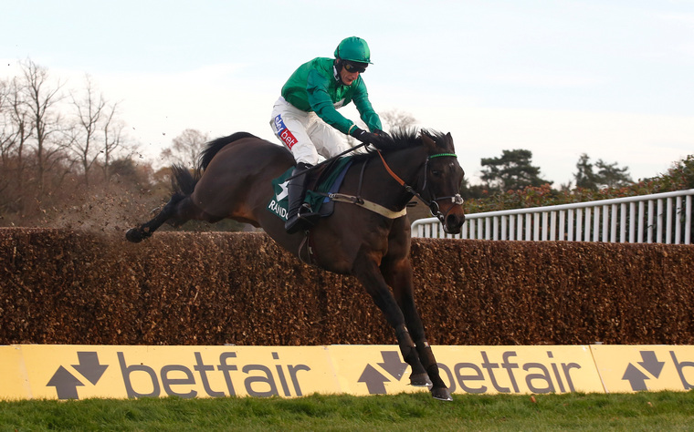 Horse racing tips on Sunday 21 February. Sceau Royal can win the Game Spirit Chase.
