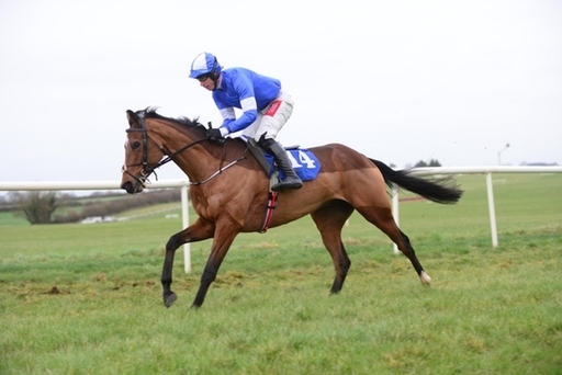 Sunday racing tips for Punchestown.  Sempo can enjoy a slice of luck and get back on the winning trail.