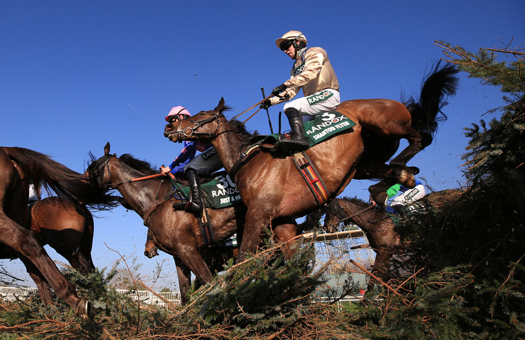 Friday Cheltenham Festival trends. Shantou Flyer could go well in the Foxhunters' Chase.