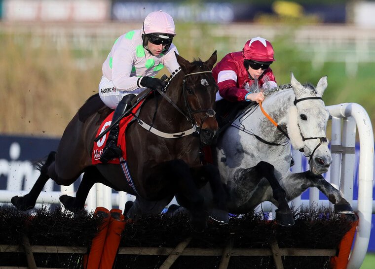 Cheltenham Championship races trends. Sharjah ticks plenty of Champion Hurdle trends boxes.