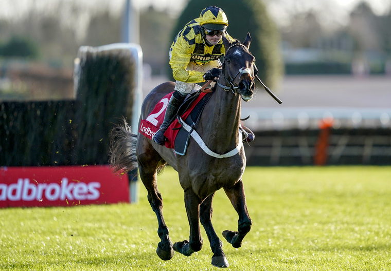Nicky Henderson Cheltenham Festival runners. Is Shishkin an Arkle Chase banker?