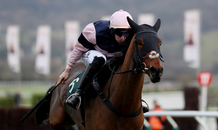 Saturday live TV tips. Singlefarmpayment could end his lengthy losing run at Doncaster.