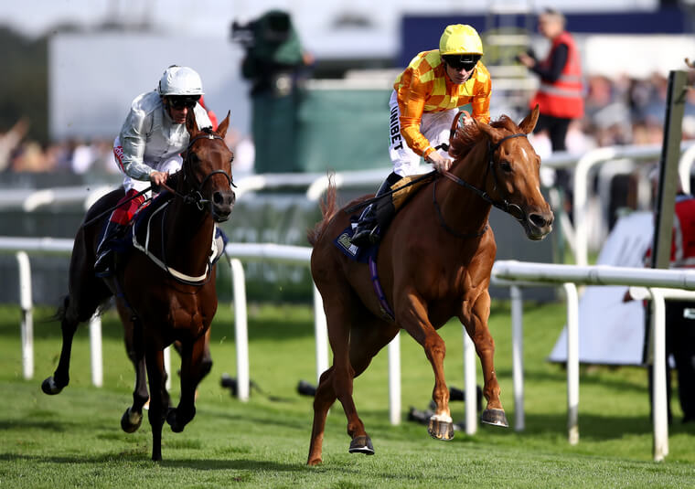Sleeping Lion can strike a return to winning ways at Ascot.