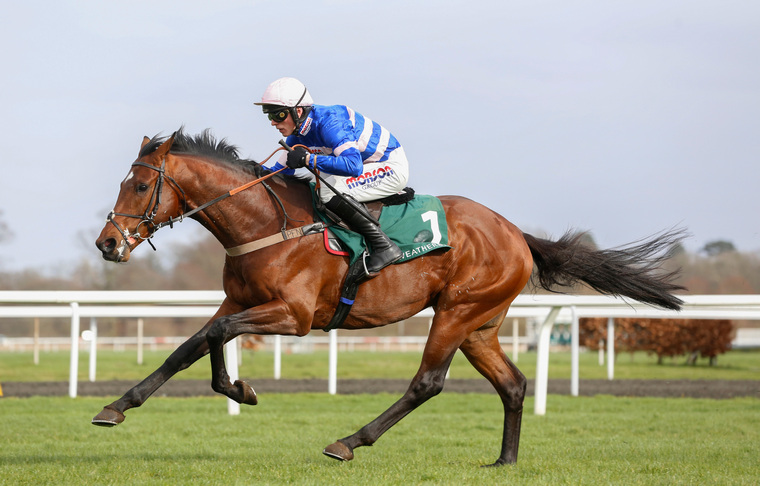 Lanzarote Hurdle tips. Can Solo bounce back from some disappointing runs returning to the scene of his last win?