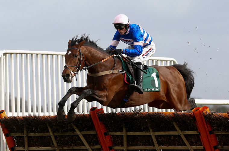 Friday Cheltenham Festival trends. Solo can run well in the Triumph Hurdle.