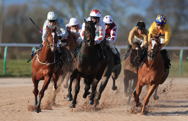 New Year's Day best bets. Southwell race on the all-weather.