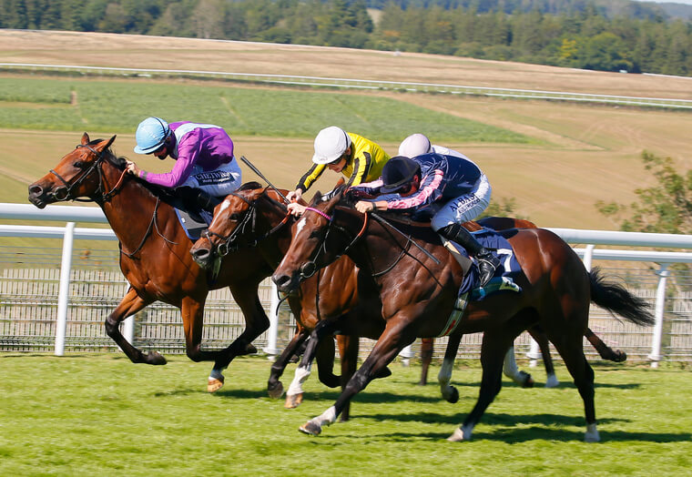 Spirit of Bermuda is open to improvement after scoring at Goodwood.