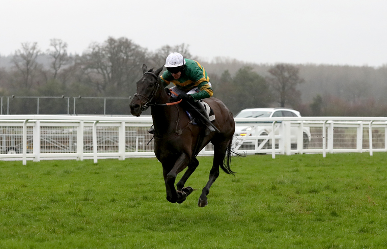 JP McManus Cheltenham Festival team. Sporting John could relish the step up in trip in the Festival three miler.