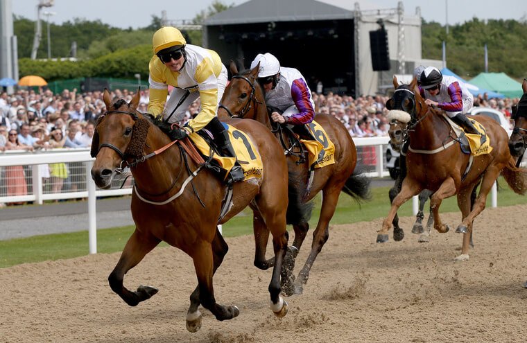 Tuesday best racing bets. Newcastle race on their all-weather surface on Tuesday evening.