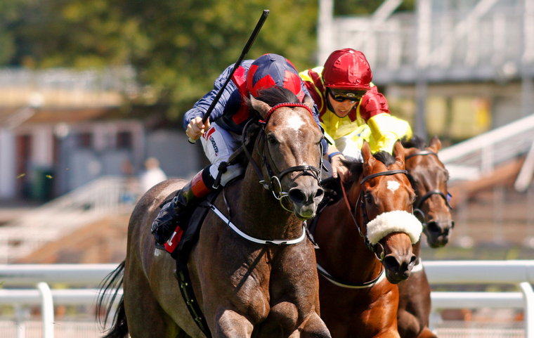 Friday Irish racing tips. Steel Bull can get back to winning ways at Tipperary.