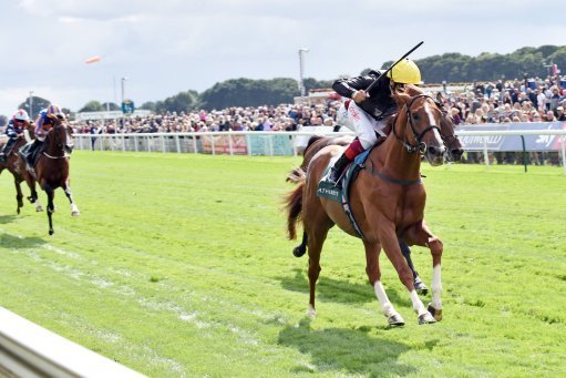Stradivarius bids for a third Ascot Gold Cup