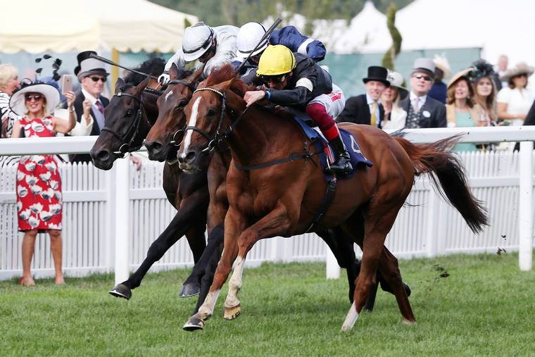 2020 Ascot Gold Cups