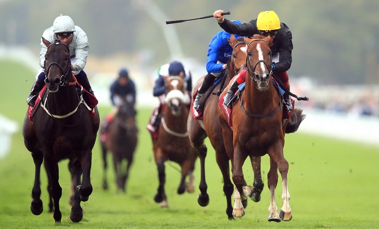 Royal Ascot Tote Placepot tips. Can Stradivaruis win a fourth Gold Cup?