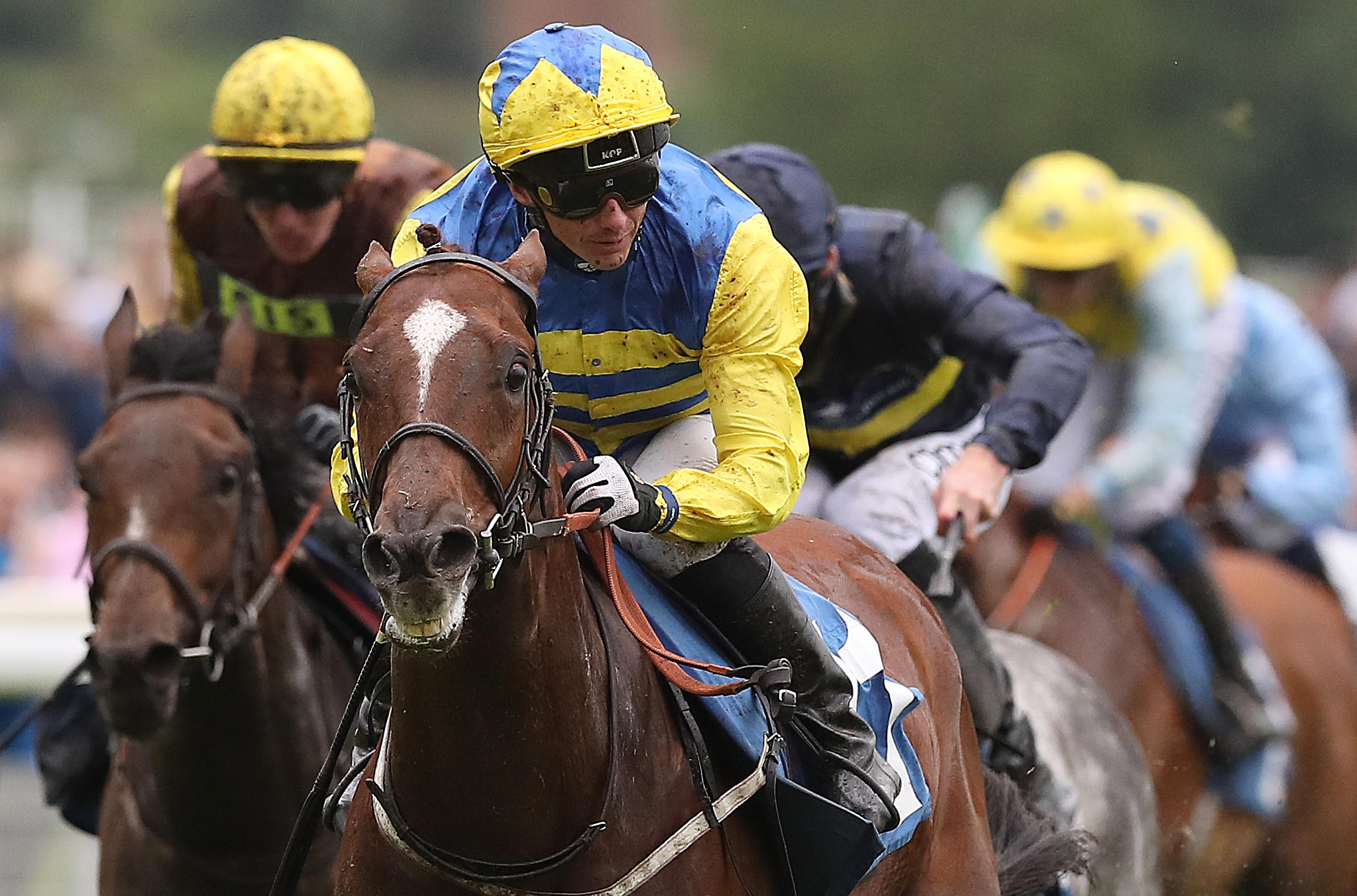 Tuesday Lucky 15 Tips. David Allan can land the final race at Catterick on Tuesday with Captain Corcoran.