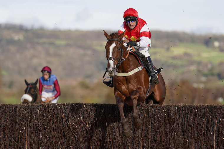 Colin Tizzard Cheltenham Festival runners. The Big Breakway could run well in the former RSA Chase.