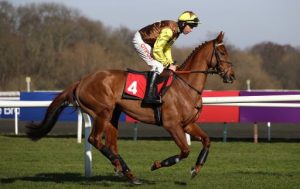 The Mighty Don has put in some of his best chase efforts at Cheltenham