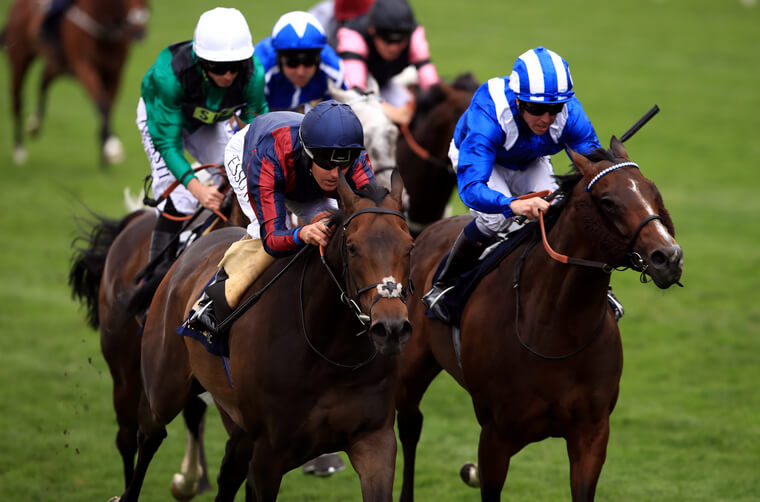 Veteran sprinter The Tin Man has an excellent record in the Haydock Group One feature.