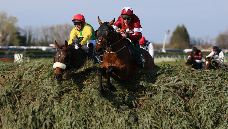 Gigginstown Cheltenham Festival runners. Can Tiger Roll bounce back to form after some poor runs this season?