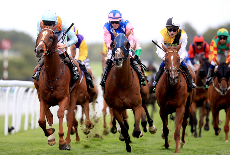 Thursday racing best bets. Timoshenko can get back to winning ways at Chelmsford.