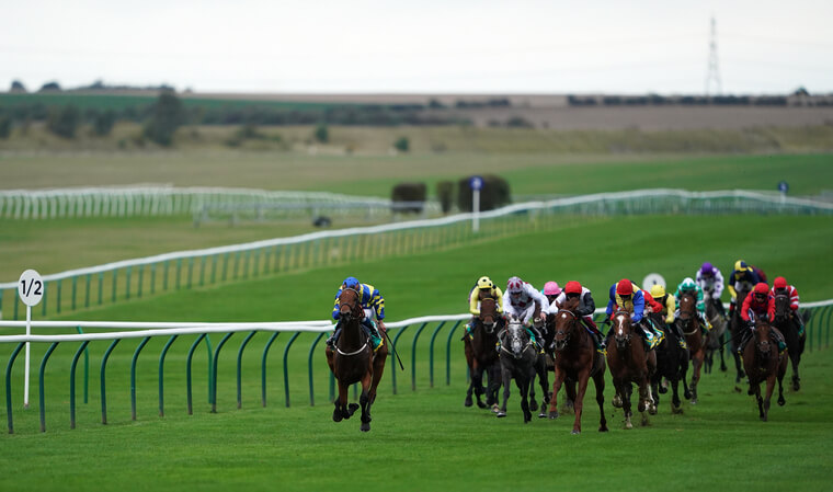 Tuesday horse racing tips. Trueshan can win the Group One Goodwood Cup with the ground in his favour.
