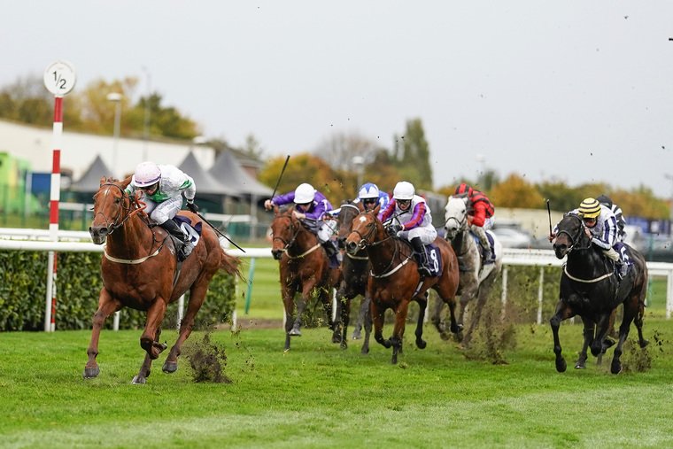 Wednesday horse racing tips. Venturous carries the day's NAP and can collect at Newcastle.
