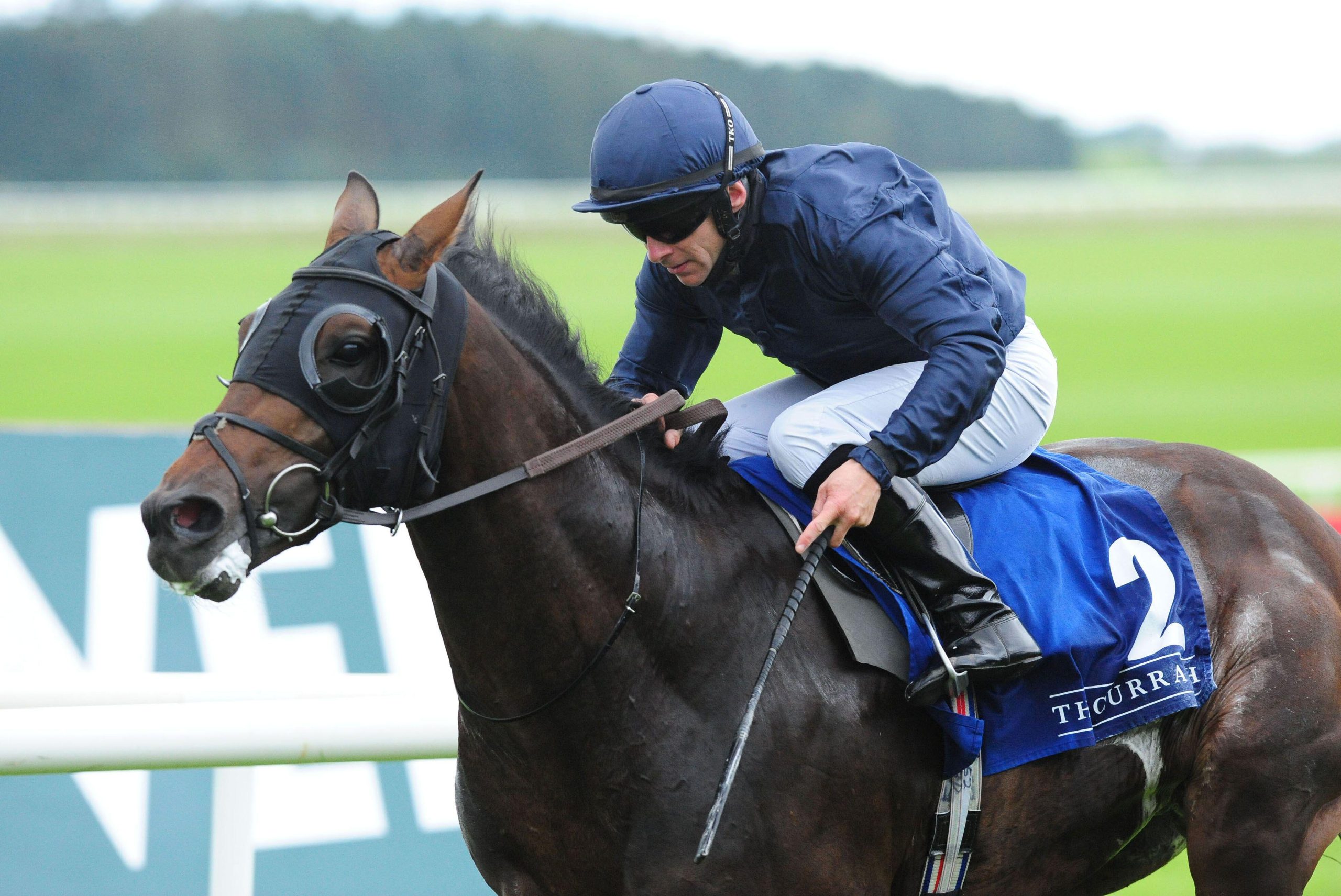 Irish Horse Racing Tips. Wayne Lordan can ride One Sweet Day to win at the Curragh on Saturday.