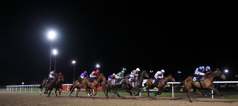 Tuesday racing best bets. There is action on the all-weather on Tuesday at Wolverhampton.