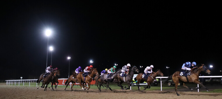 Monday racing best bets. Wolverhampton race under the floodlights.