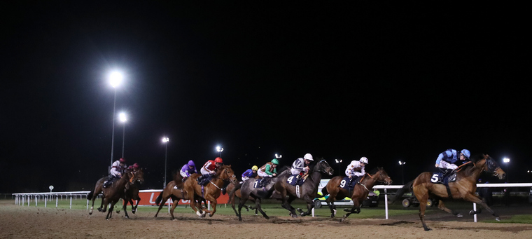 Saturday racing best bets. Wolverhampton are racing in the evening under the floodlights.